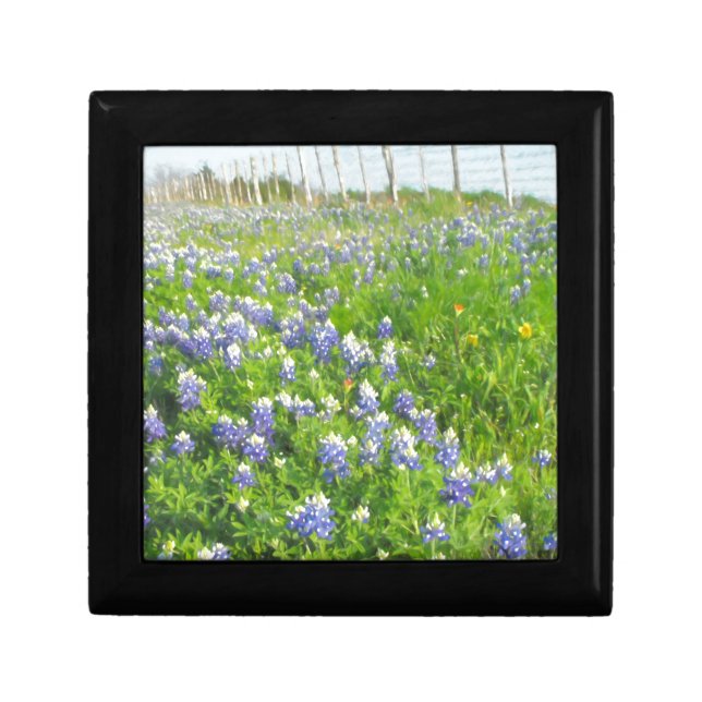 Roadside Bluebonnets Jewelry Box (Front)