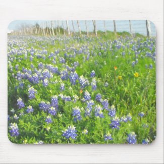 Roadside Bluebonnets Mouse Pad