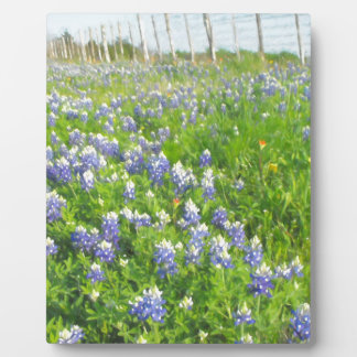 Roadside Bluebonnets Plaque