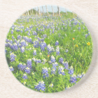 Roadside Bluebonnets Sandstone Coaster