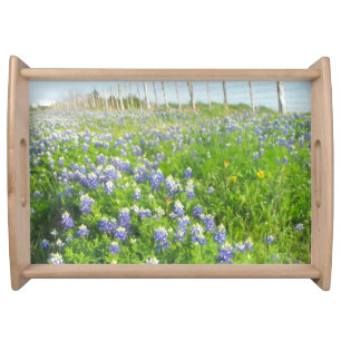 Roadside Bluebonnets Serving Tray