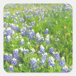 Roadside Bluebonnets Square Sticker