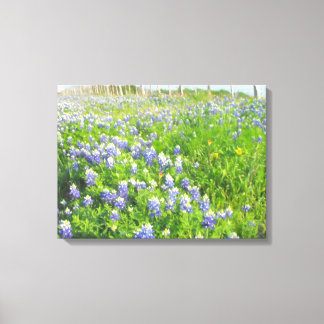 Roadside Bluebonnets Stretched Canvas Print