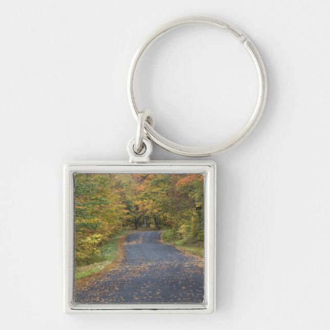 Roadside fall foliage, Southern Vermont, USA Keychain (Front)