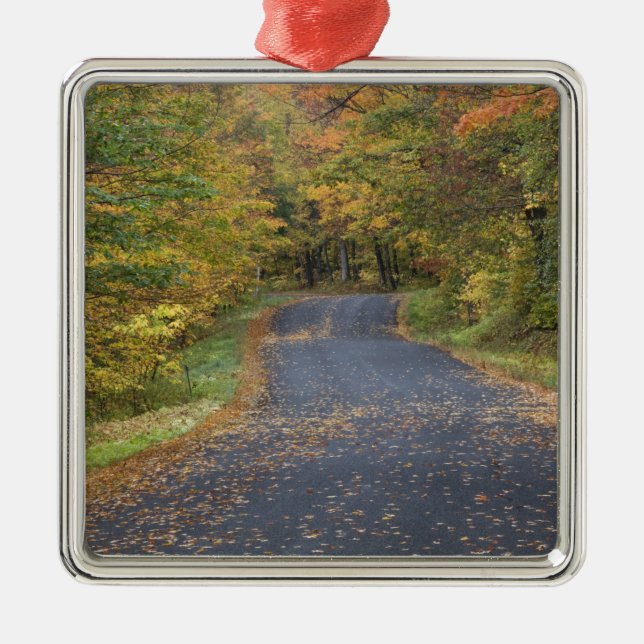 Roadside fall foliage, Southern Vermont, USA Metal Ornament (Front)