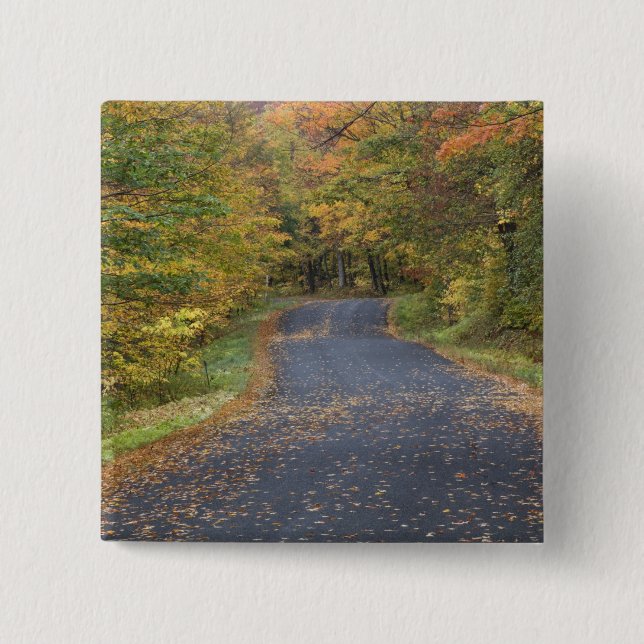 Roadside fall foliage, Southern Vermont, USA Pinback Button (Front)