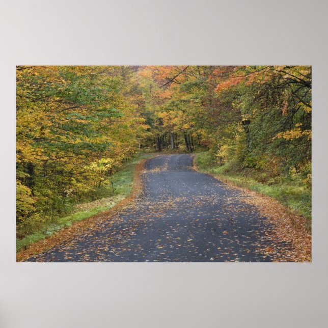 Roadside fall foliage, Southern Vermont, USA Poster (Front)