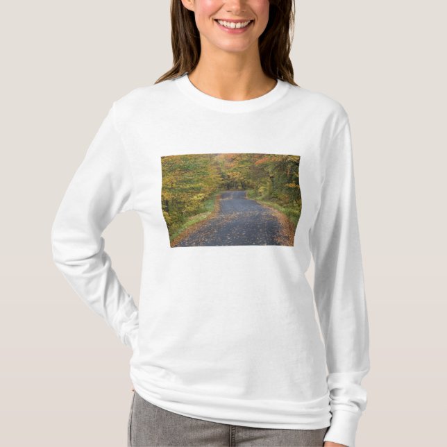 Roadside fall foliage, Southern Vermont, USA T-Shirt (Front)