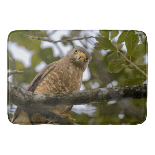 Roadside Hawk Belize Bird Photography Bath Mat