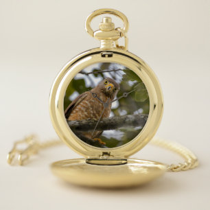Roadside Hawk, Perched Bird of Prey Pocket Watch