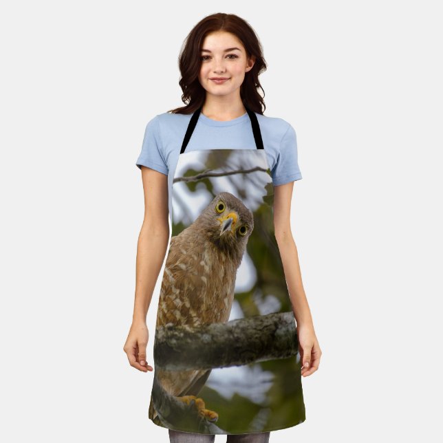 Roadside Hawk, Staring Bird Apron (Worn)