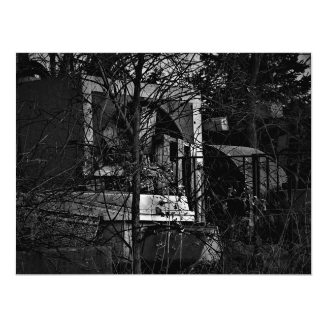 "Roadside Mishmash" Photo Print (Front)