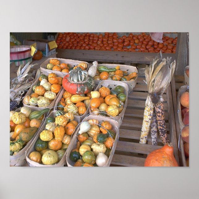 Roadside Squash Poster (Front)