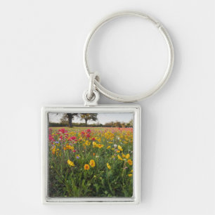 Roadside wildflowers in Texas, spring Keychain