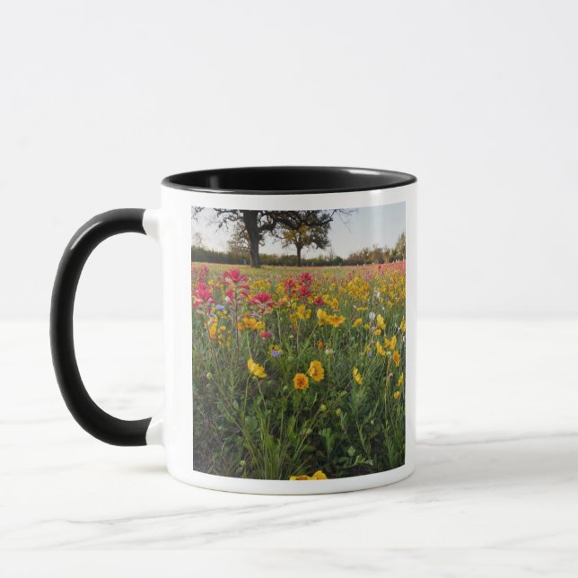 Roadside wildflowers in Texas, spring Mug (Left)
