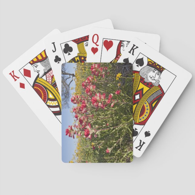Roadside wildflowers in Texas, spring Poker Cards (Back)
