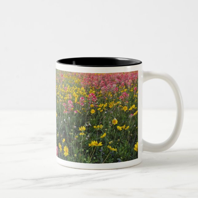 Roadside wildflowers in Texas, spring Two-Tone Coffee Mug (Right)