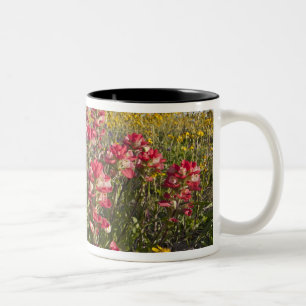 Roadside wildflowers in Texas, spring Two-Tone Coffee Mug