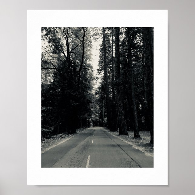 Roadside Wilds Black and White Photography Poster (Front)