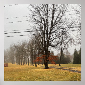 Roadway of Autumn Trees Poster