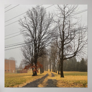 Roadway of Autumn Trees Poster