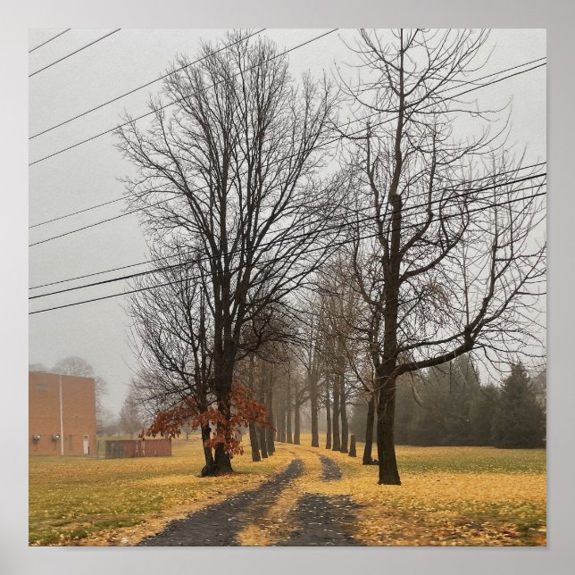 Roadway of Autumn Trees Poster (Front)