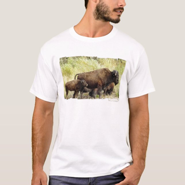 Roaming Buffalo  Men's T-Shirt (Front)