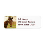 Roaming Paint Horse Mailing Labels