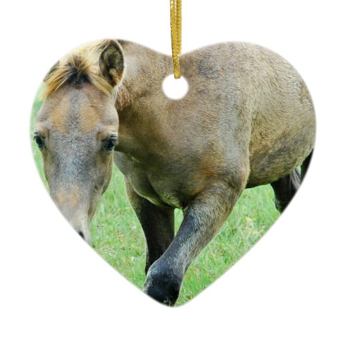 Roaming Roan Horse Ornament