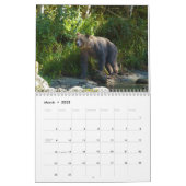 Roaming with Giants - A Grizzly Bear Calendar (Mar 2025)