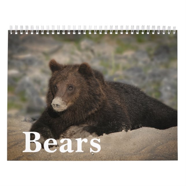 Roaming with Giants - A Grizzly Bear Calendar (Cover)