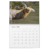 Roaming with Giants - A Grizzly Bear Calendar (Jan 2025)