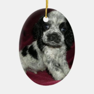roan american cocker spaniel puppy, Apollo Ceramic Ornament
