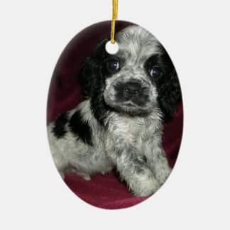 roan american cocker spaniel puppy, Apollo Ceramic Ornament