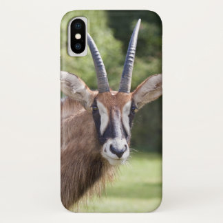 Roan Antelope iPhone X Case
