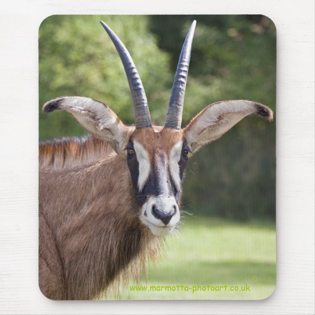 Roan Antelope Mousemat Mouse Pad (Front)