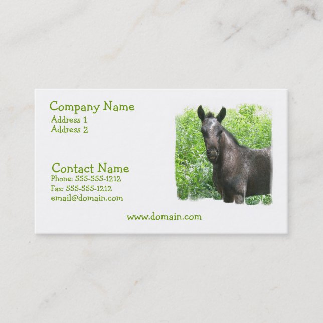 Roan Colt Business Card (Front)