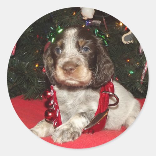 Roan English Springer Spaniel Christmas Puppy Classic Round Sticker