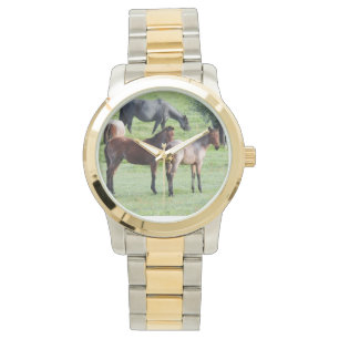 Roan Foals Watch
