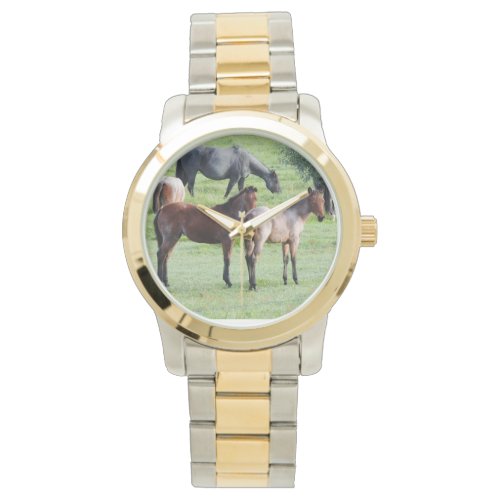 Roan Foals Watch