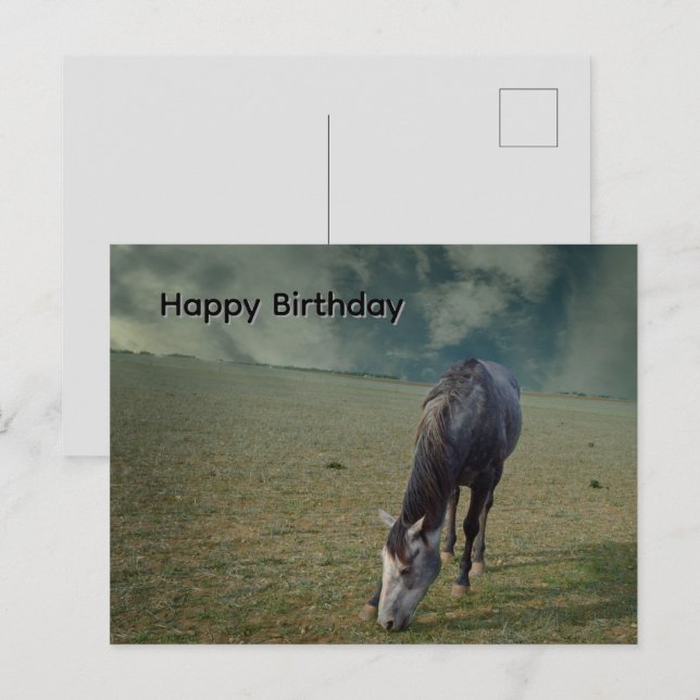 Roan Horse Grazing In Paddock, Birthday Postcard (Front/Back)