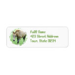 Roan Horse Return Address Label