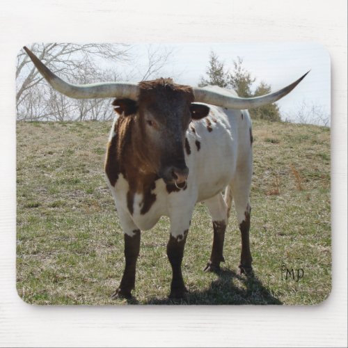 Roan Longhorn Steer_ personalize if desired Mouse Pad