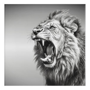 Roar of the Lion  Acrylic Print