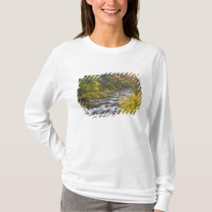 Roaring Brook in fall in Vermont's Green 2 T-Shirt