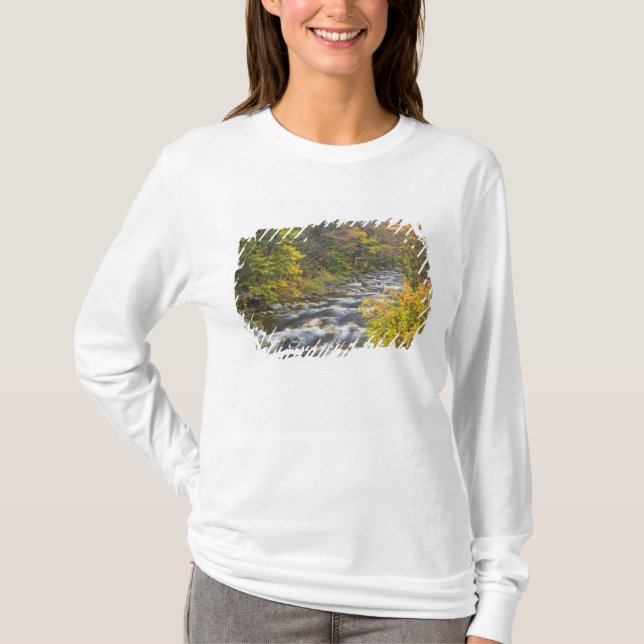 Roaring Brook in fall in Vermont's Green 2 T-Shirt (Front)