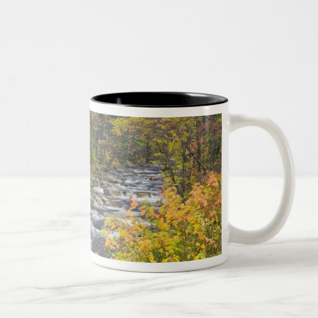 Roaring Brook in fall in Vermont's Green 2 Two-Tone Coffee Mug (Right)