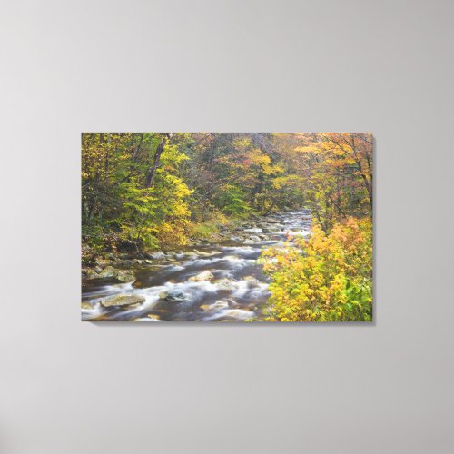 Roaring Brook in fall in Vermonts Green Canvas Print