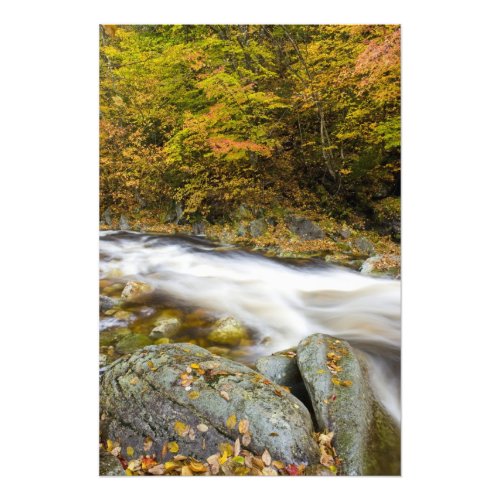 Roaring Brook in fall in Vermonts Green Photo Print