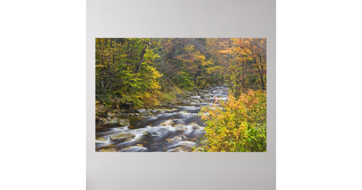 Roaring Brook in fall in Vermont's Green Poster | Zazzle